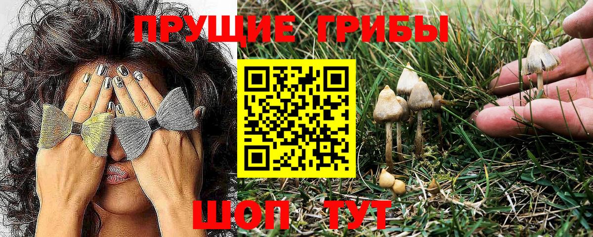 Псилоцибиновые грибы GOLDEN TEACHER Ростов-на-Дону