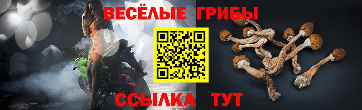 Ростов-на-Дону  магазин    Вход с VPN  Псилоцибиновые грибы Psilocybe 